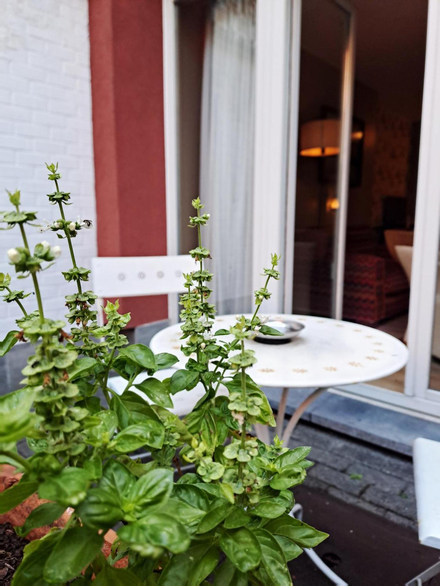 Mas Aparthotel Eu Bruxelles Eksteriør billede